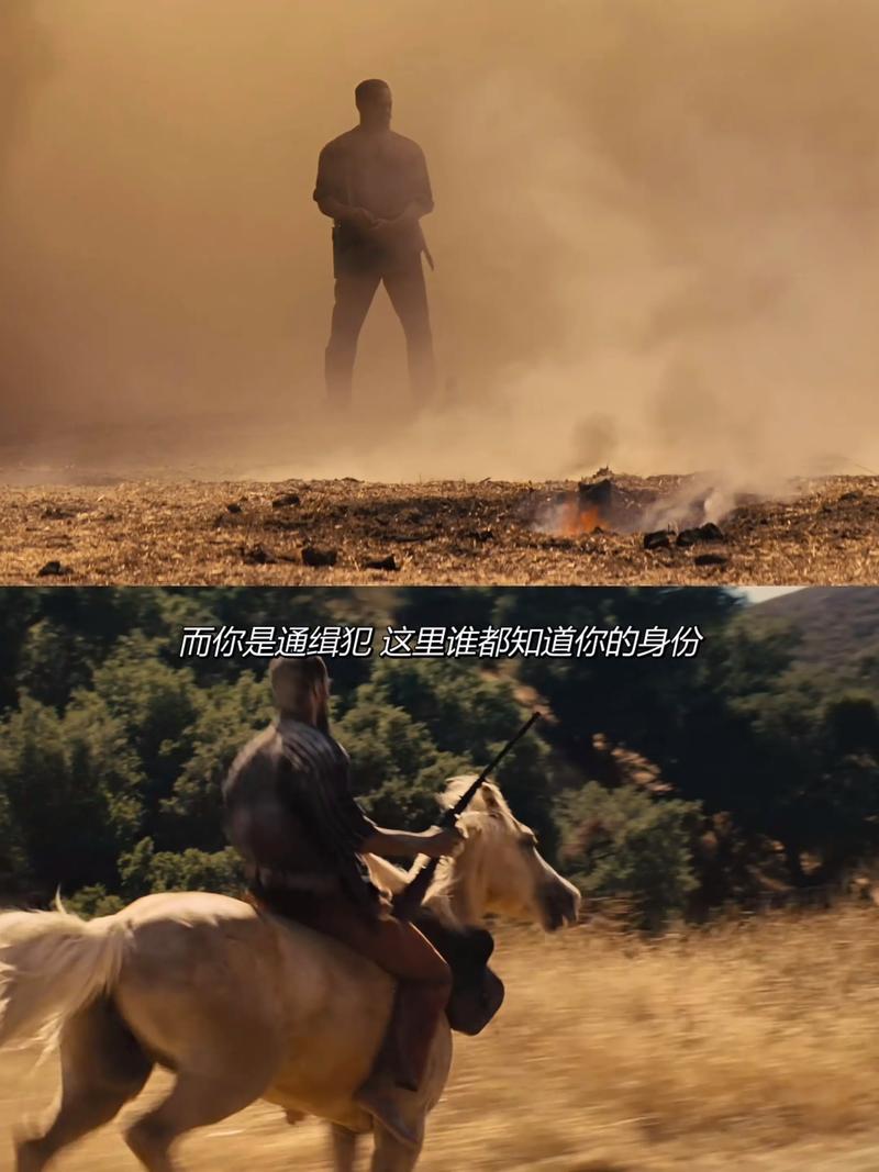 被解救的姜戈1080P高清下载_昆汀经典西部片完整版