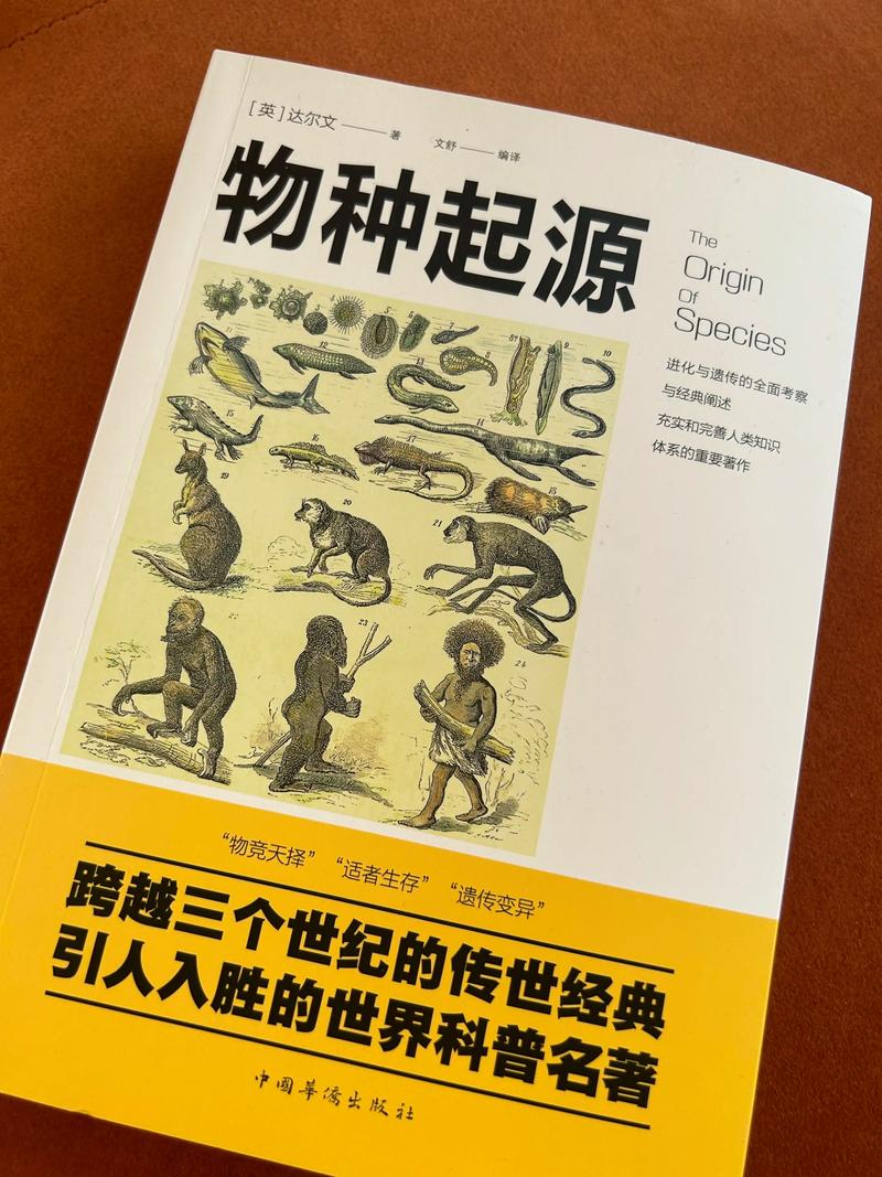 实况足球2014下载的相关介绍