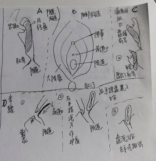 蜘蛛池使用教程图解:从零搭建到高效运行的完整实操指南