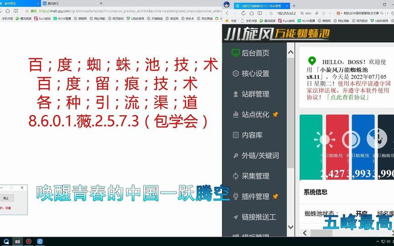 蜘蛛池有几种类型?常见分类及特点一文看懂