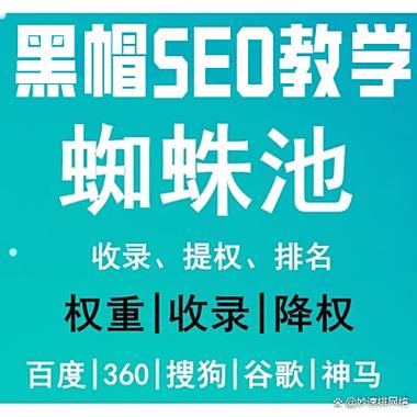 搜狗蜘蛛池服务推广：助力网站快速收录与排名提升