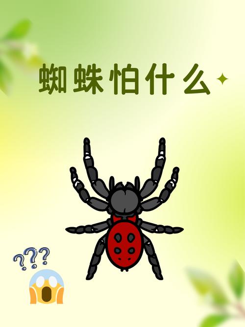 蜘蛛池最怕什么虫？揭秘让百万蜘蛛瞬间“团灭”的隐形杀手——线虫