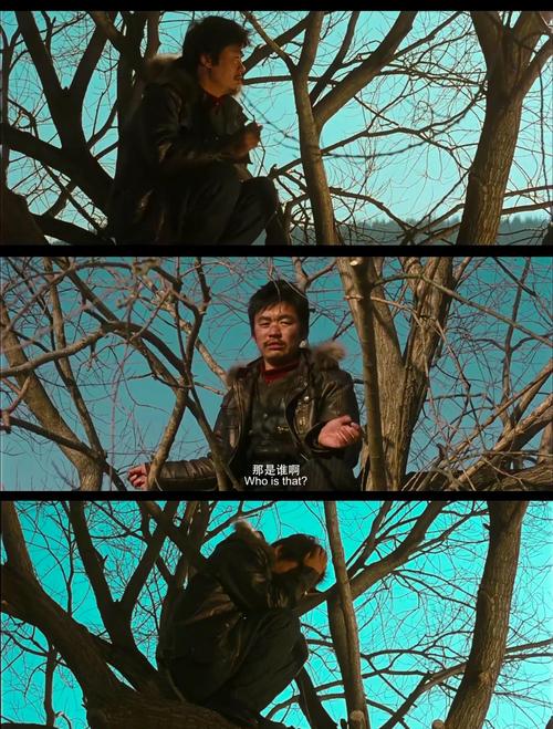 信鸽下载的相关介绍