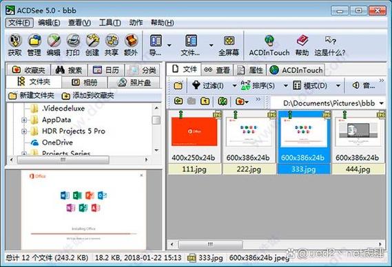 成人电影迅雷下载的相关介绍