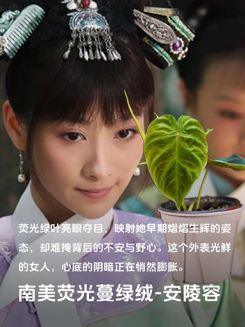 h电影下载的相关介绍