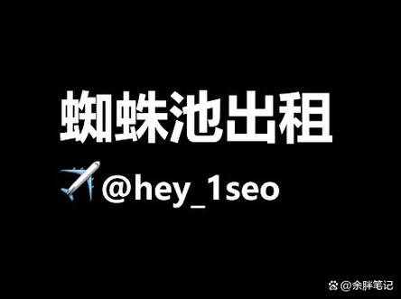 小旋风万能蜘蛛池出租：高效引蜘蛛助力网站快速收录新选择