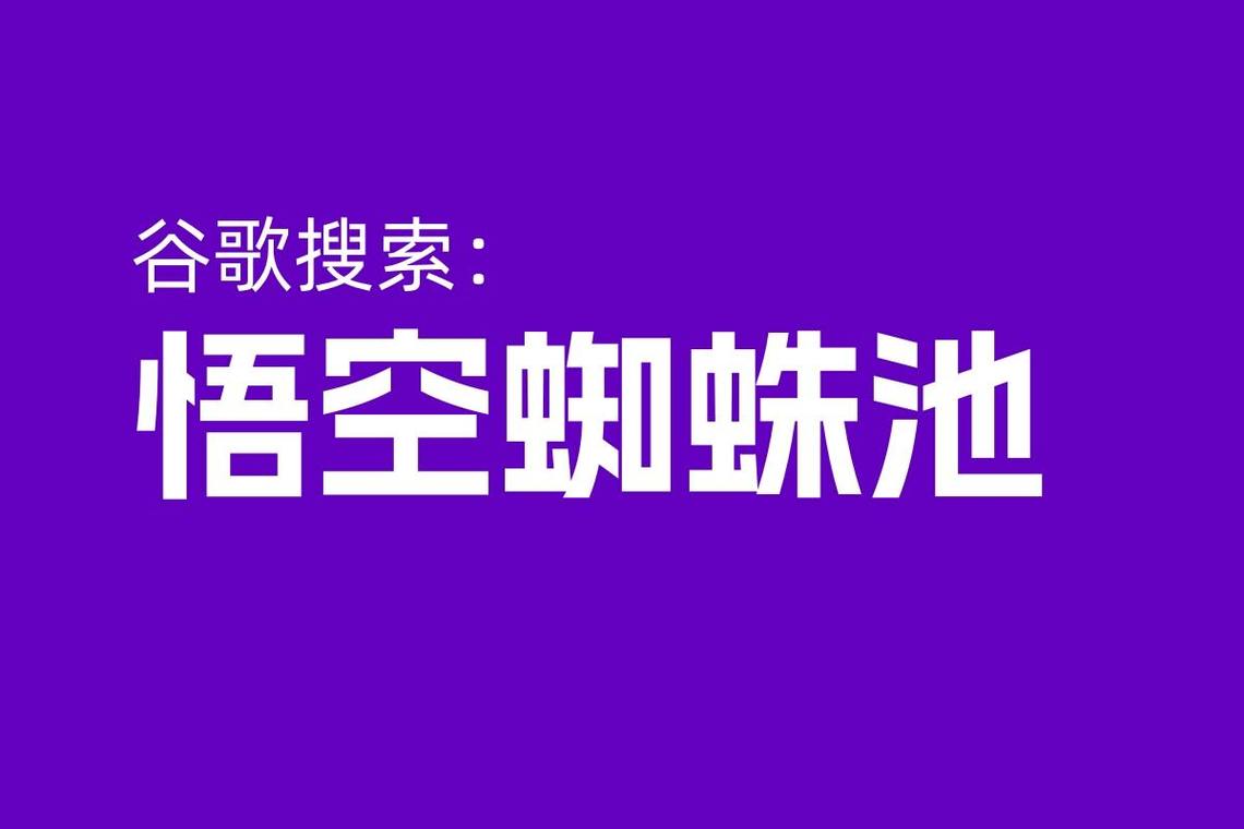 蜘蛛池多少钱一米？揭秘SEO黑产背后的价格陷阱与法律风险