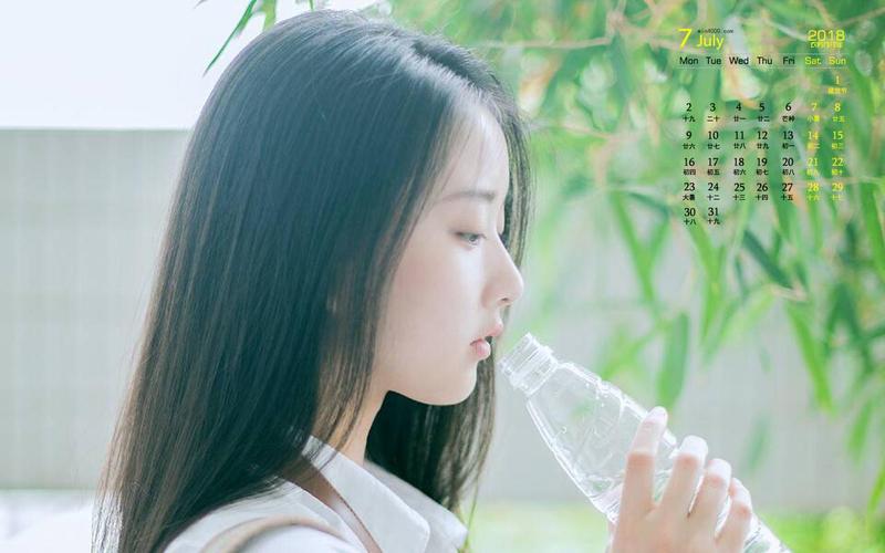 蜘蛛池域名租赁乱象调查：灰色产业链背后的流量生意