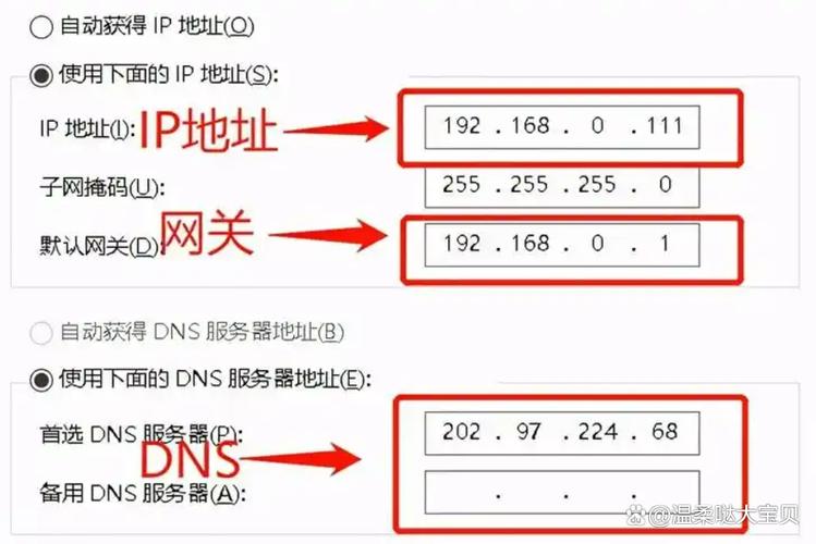 蜘蛛池源码怎么设置dns