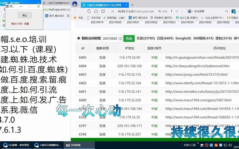 福建神马蜘蛛池租用市场持续升温，助力企业高效收录引关注