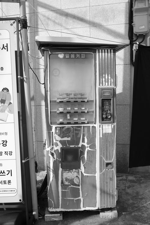 陈默蜘蛛池出租：高效SEO优化新选择，助力网站快速收录