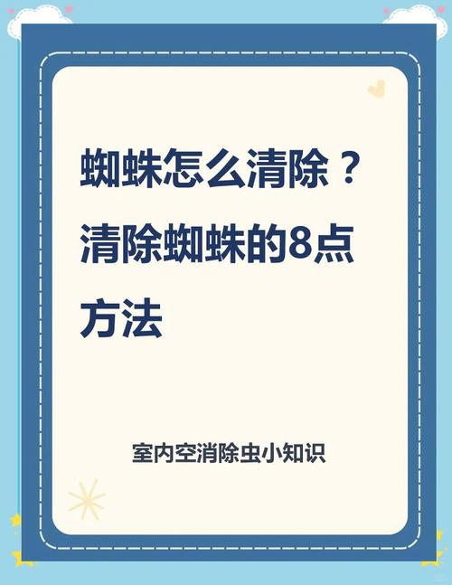 蜘蛛池引蜘蛛全流程处理指南：从搭建到优化的实战解析