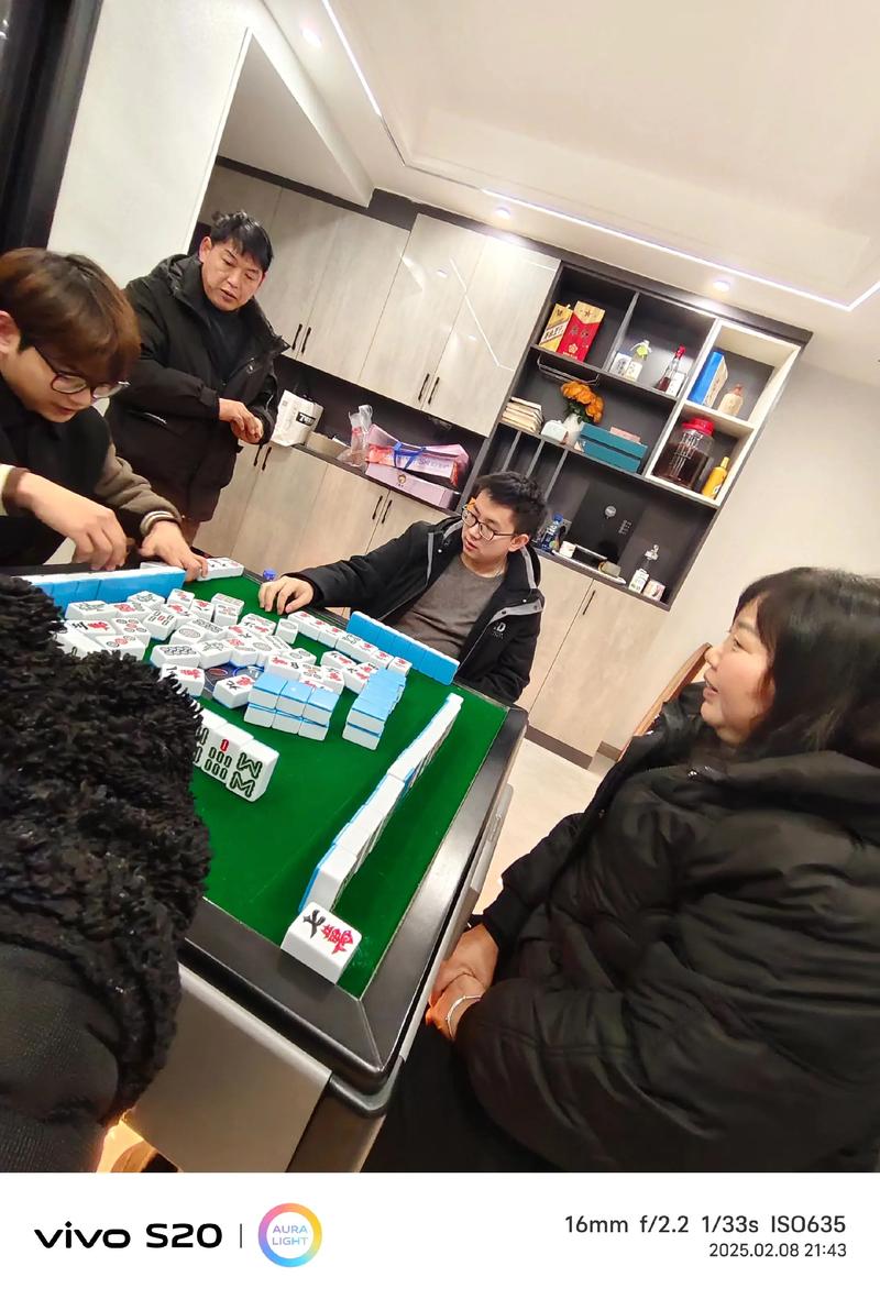 美景之屋2迅雷下载的相关介绍