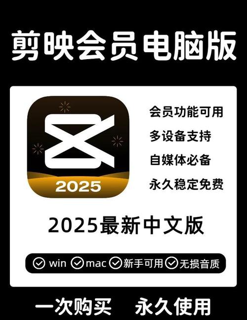 黑手党2下载的相关介绍