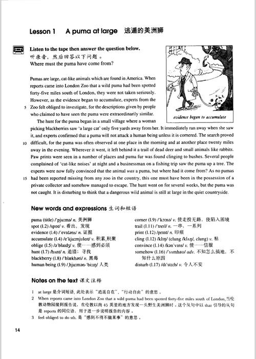 冲出亚马逊高清国语电影下载的相关介绍