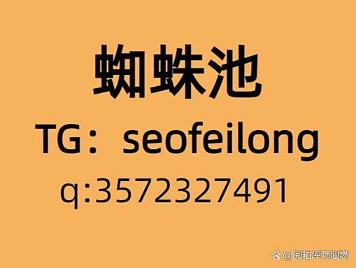 青海蜘蛛池租用包月服务上线 助力企业高效收录