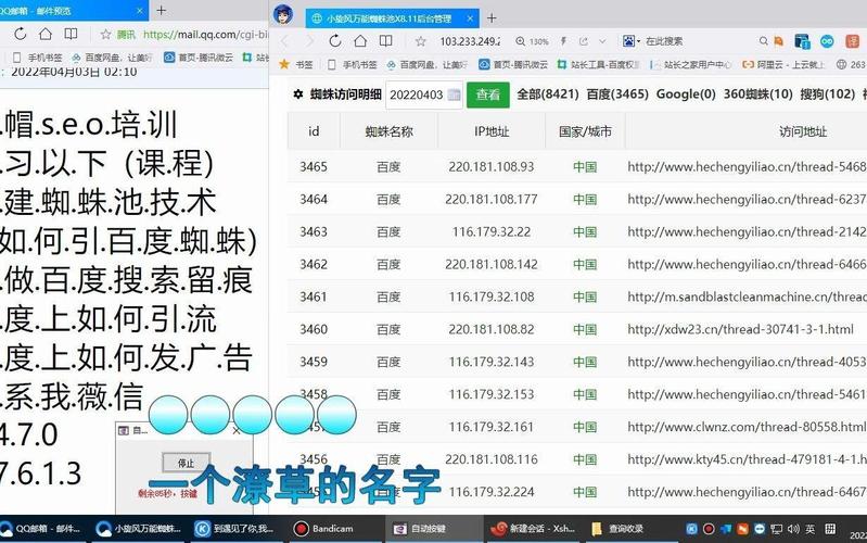 蜘蛛池留痕代发：揭秘搜索引擎霸屏背后的灰色产业链