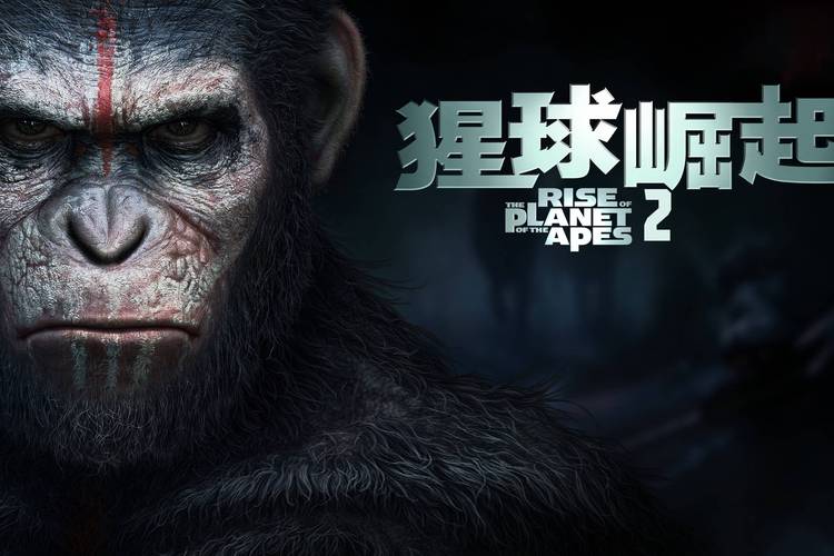 猩球崛起2:黎明之战高清下载 | 猿族崛起终极对决