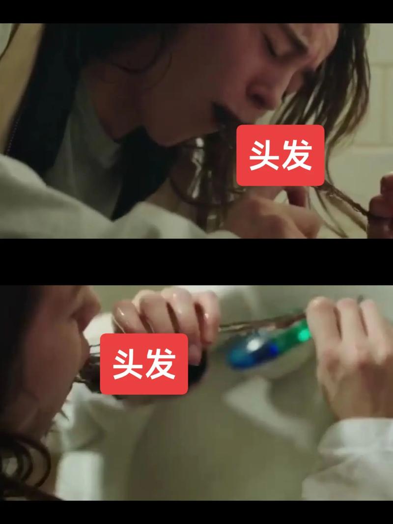 最后的风之子下载的相关介绍