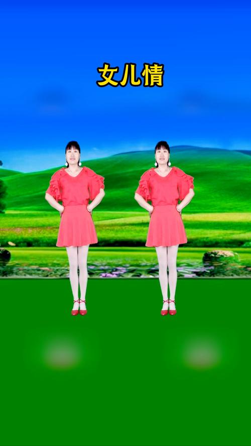 广场舞大全免费下载，热门高清教学视频随心学