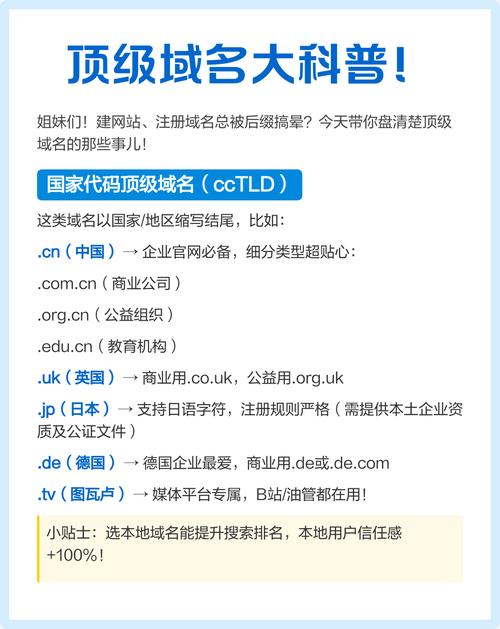 蜘蛛池域名是什么?揭秘黑帽SEO背后的流量操控黑幕