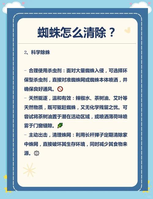 蜘蛛池引蜘蛛全流程处理指南：从搭建到优化的实战解析