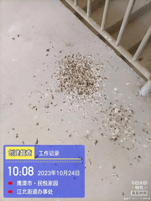 自建蜘蛛池寄生虫泛滥成灾:隐蔽网络背后的黑色产业链调查