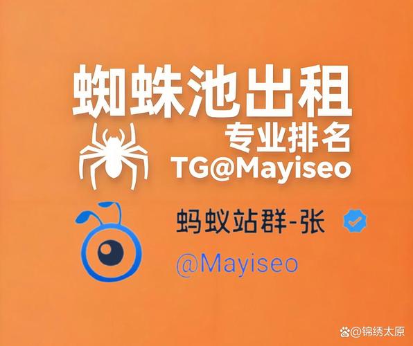 免费体验蜘蛛池网站悄然兴起,是SEO利器还是风险陷阱?