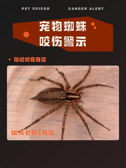 （文化中国行·校馆弦歌）百年弦歌一馆藏 杭师大图书馆里的师范精神