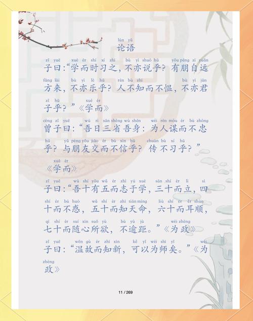 windows media player 下载的相关介绍