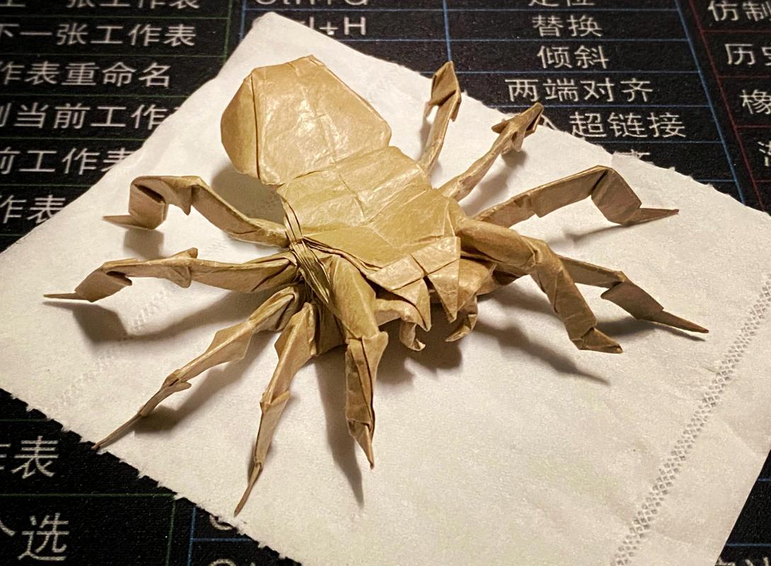 《蜘蛛池手工制作教程》
