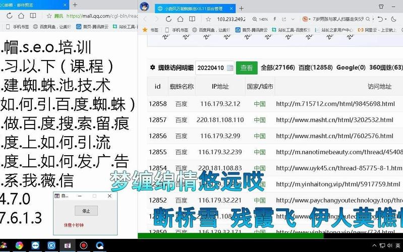 蜘蛛池哪家更好用？2024年实测对比推荐
