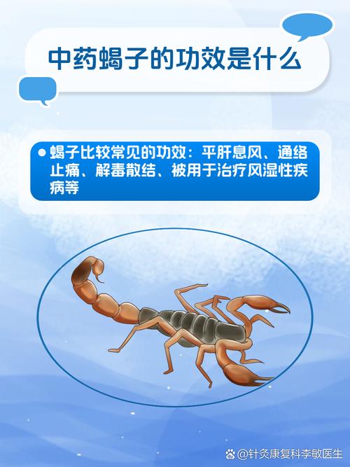 蜘蛛池负作用引关注：SEO黑帽操作或致网站被降权封禁