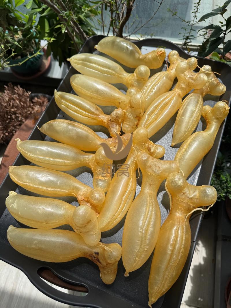 蜘蛛池价格乱象调查:月租低至几十元,高至数千元,背后暗藏哪些风险?