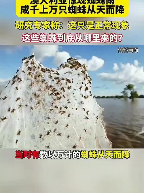 1. 刚刚,十万条新闻同时上线,背后真相令人震惊 2. 一天生成十万条新闻标题,蜘蛛池到底有多疯狂? 3. 蜘蛛池日推十万新闻,搜索引擎还扛得住吗? 4. 揭秘蜘蛛池:一天十万条新闻是如何炼成的 5. 十万新闻标题一夜霸屏,蜘蛛池操作内幕曝光 6. 蜘蛛池日发十万新闻,是技术奇迹还是搜索灾难? 7. 一天十万条新闻轰炸,蜘蛛池正在改写搜索规则 8. 蜘蛛池疯狂输出:单日十万新闻标题的背后逻辑 9. 十万新闻标题瞬间收录,蜘蛛池到底用了什么手段? 10. 蜘蛛池一天十万新闻,SEO江湖再掀腥风血雨