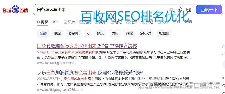 蜘蛛池泛目录出租：高效引蜘蛛，助力网站快速收录