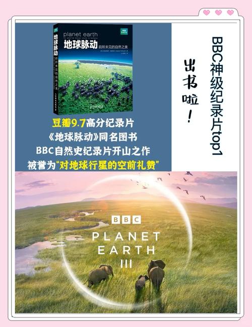 谍影重重4迅雷下载的相关介绍