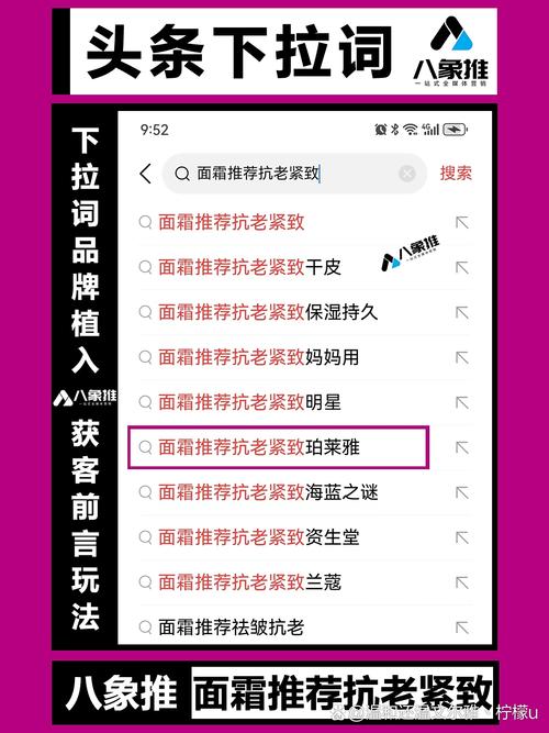 蜘蛛池技术代码的相关介绍