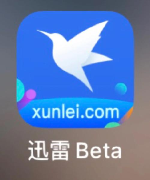迅雷5官方下载_经典极速下载工具_支持BT种子磁力链接