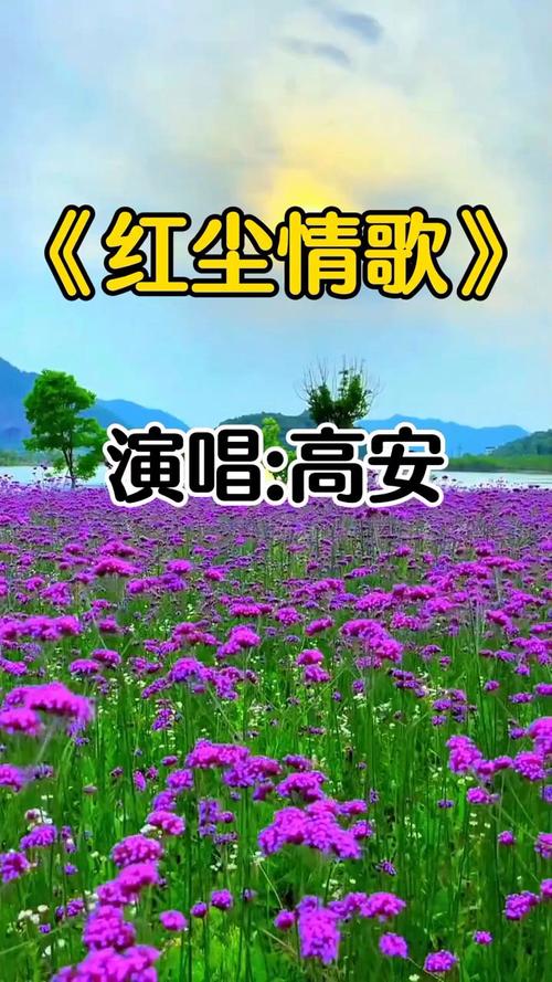 突袭3下载的相关介绍