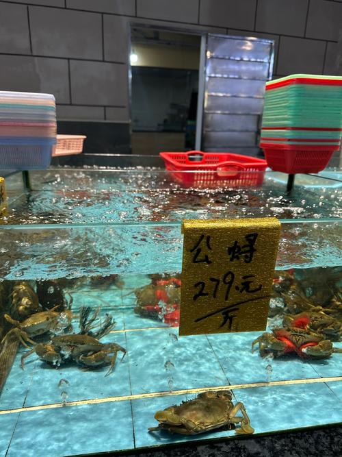 寄生虫蜘蛛池价格曝光:建一个要花多少钱?