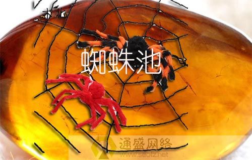 蜘蛛池博客:揭秘黑帽SEO背后的流量操纵与法律风险