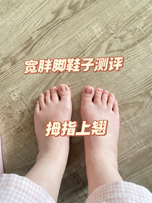 画图软件下载的相关介绍