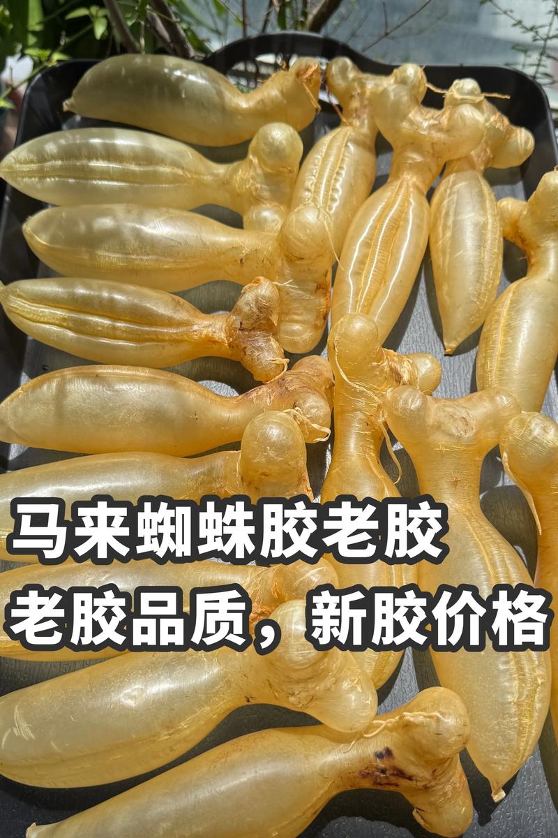 蜘蛛池价格乱象调查:月租低至几十元,高至数千元,背后暗藏哪些风险?