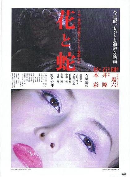 你是不是欠g了txt下载的相关介绍