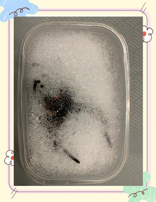 《寄生虫蜘蛛池区别何在？一文读懂两大黑帽SEO手法核心差异》
