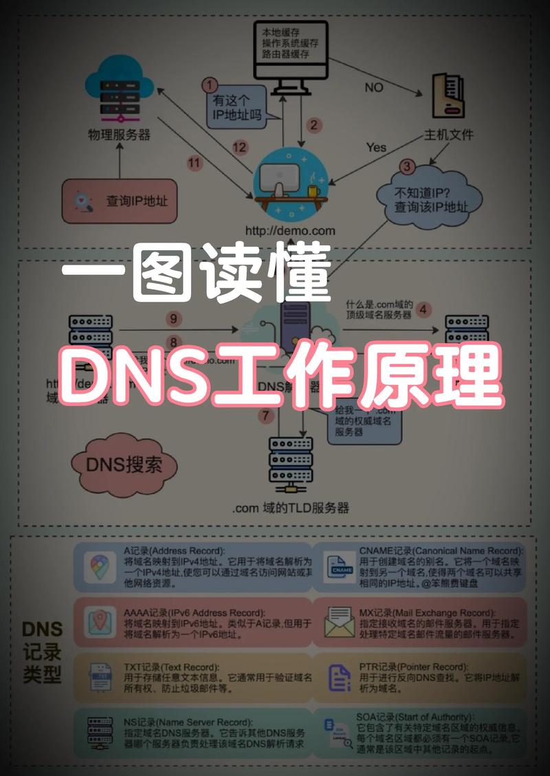 蜘蛛池站群版DNS解析技术深度解析:多IP轮询与泛解析配置实战
