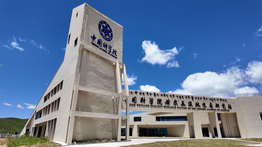 蜘蛛池建设多少钱？2025年最新报价与成本解析