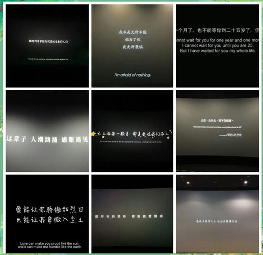 决战食神下载的相关介绍