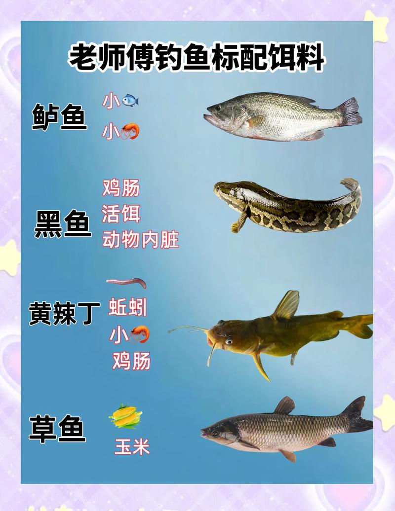 蜘蛛池鱼饵实战:如何用一条“新闻标题”让蜘蛛日抓十万页